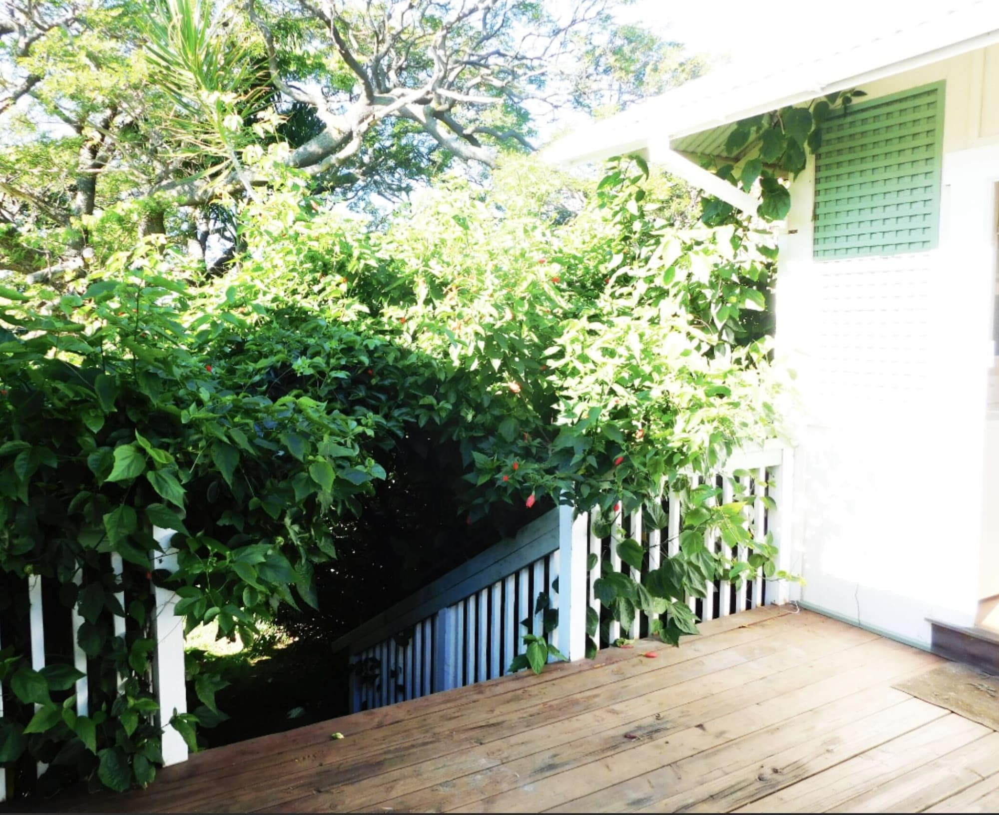 Pahala Plantation Cottages, General view