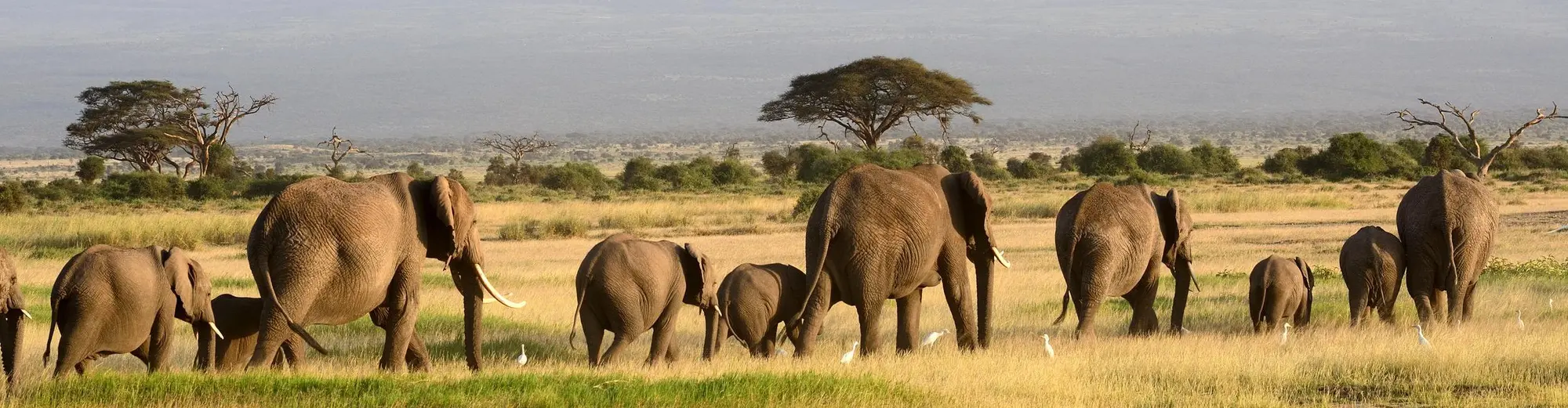 Samburun kansallisreservaatti, Kenia