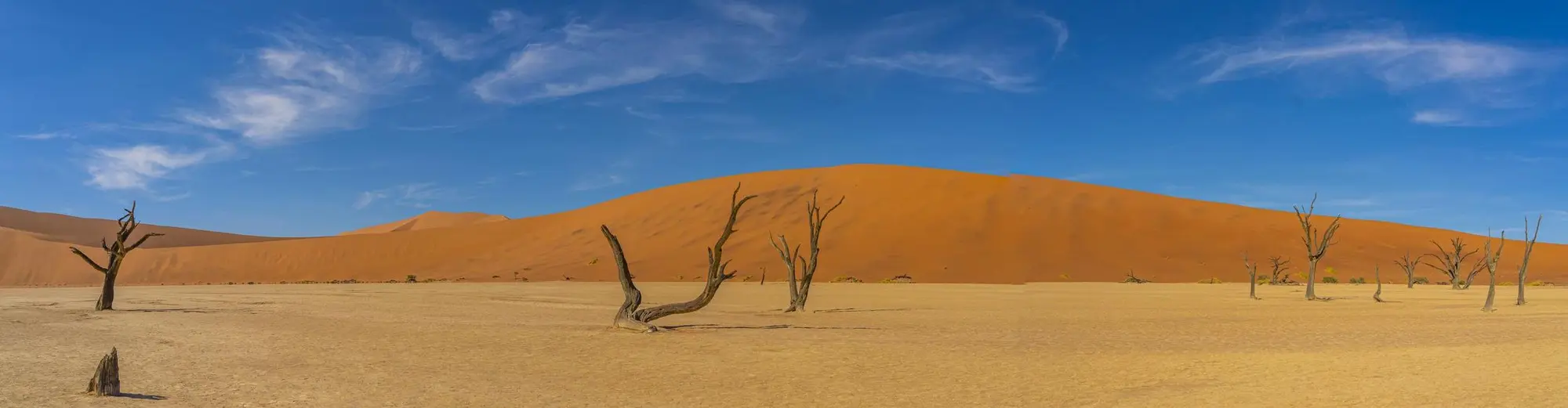 ססרים נאוקלופט, נמיביה