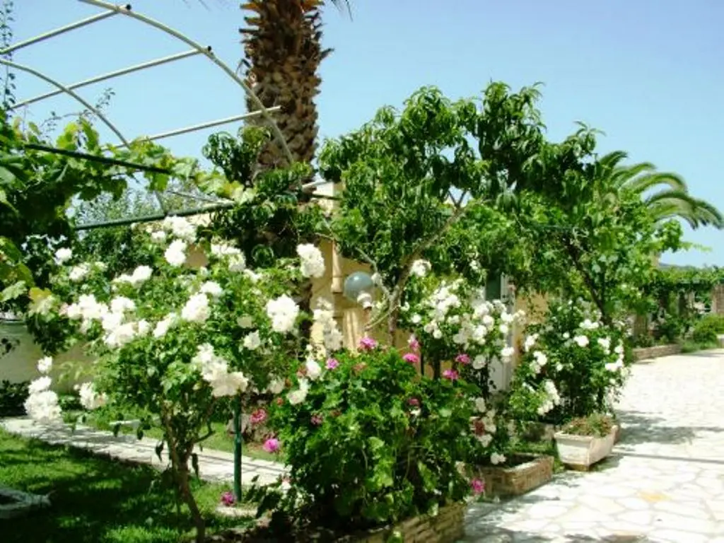Blue Sea  Argyrades Beach, Terrace