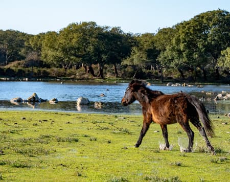 In the heart of Marmilla 