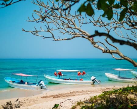 MANDINGA Y VERACRUZ CON  SABOR JAROCHO (CVU)
