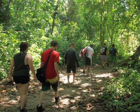 Cahuita Nationalpark Wanderung