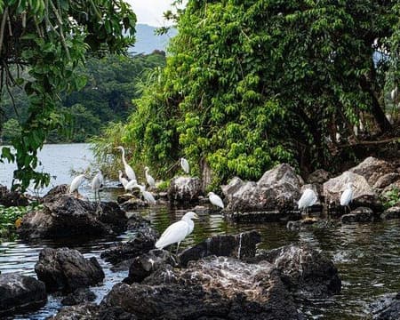 LA MAGICA EXPERIENCIA DE  CATEMACO Y LOS TUXTLAS (CVU)
