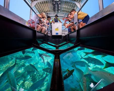 Full Day Glass Bottom Boat (BBQ Lunch + Marine park fee with Moyanne Island , Snorkling & Fish feeding  ) - Reef Advanture - SIC TOUR