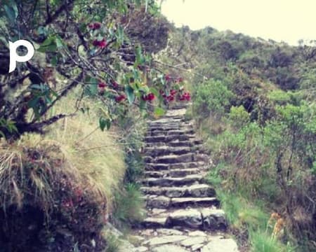 Inca Trail 2 Days 1 Night