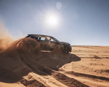 سفاري صحراوي 4x4 مع عشاء من الرياض - جولة خاصة