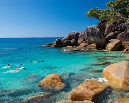 Fitzroy "Island Essentials" Includes return ferry transfers + 1 OPTION: Snorkelling Equipment / Glass Bottom Boat 