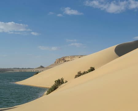 Tagesausflug von Kairo nach Fayoum & Wadi El Rayan