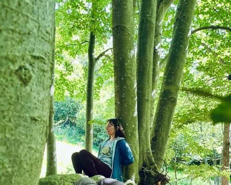 Forest Bathing - immersione sensoriale antistress nei boschi