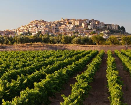 Wine Identity: Terra Alta, la gran desconocida de Catalunya