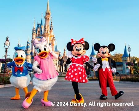 Walt Disney World Resort  - One Park Per Day Tickets