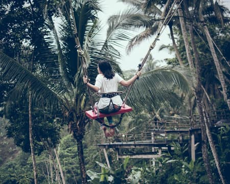 Best of Ubud mit Dschungelschaukel