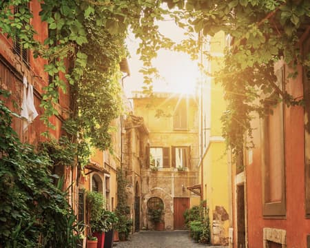 Römische Küche in Trastevere, wo Güte und Schönheit aufeinandertreffen 