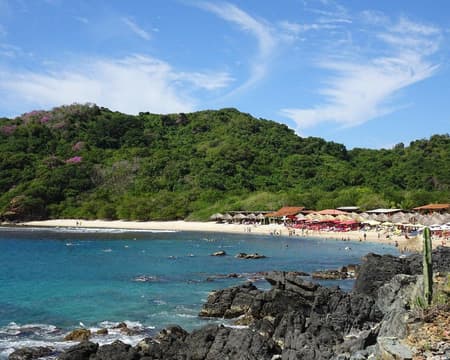 ISLA IXTAPA CON TRANSPORTACIÓN (CVU)
