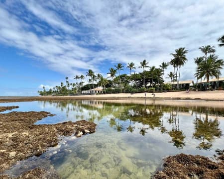 Tour Praia do Forte y Guarajuba