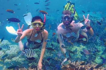 Descubre el curso de snorkel y buceo en taurito.