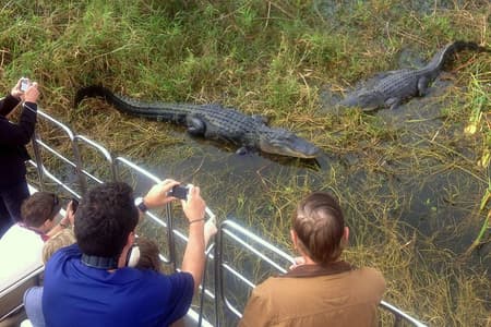 Florida Everglades moerasboottour en toegang tot Wild Florida met optionele lunch