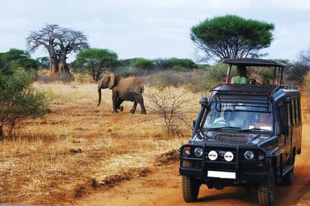 Half Day Safari Tala Game Reserve & Natal Lion Park