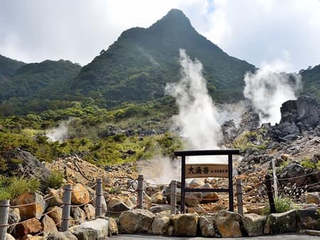 Tour di un giorno a Hakone Fuji: Crociera, funivia e vulcano