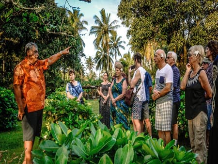 Private Progressive Dinner Tour mit Einheimischen in Rarotonga 