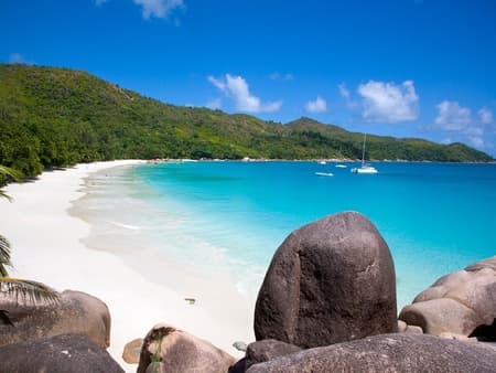 Vallée de Mai and Anse Lazio - Full-Day Tour - From Praslin