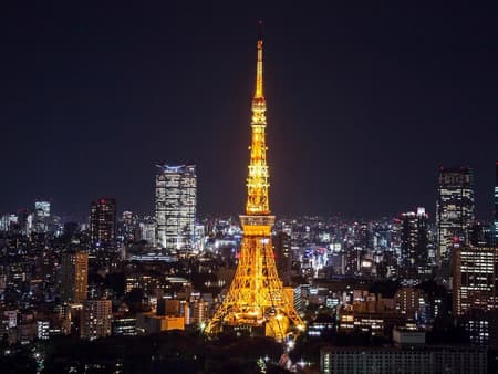 Tokyo Tower Main Deck and Tokyo Subway 24-Hour Combo Ticket