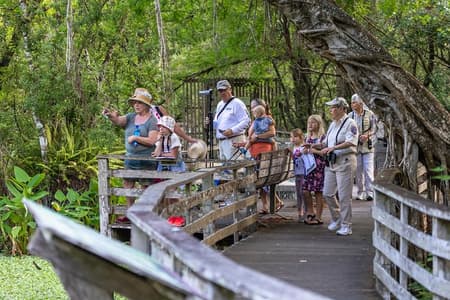 Aventura en hidrodeslizador por los Everglades de Miami con transporte