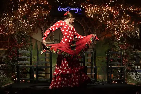 Flamenco Show and Special Menu at Torres Bermejas in Madrid