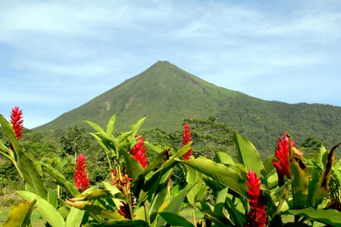 Treasures of Costa Rica, Private Tour 