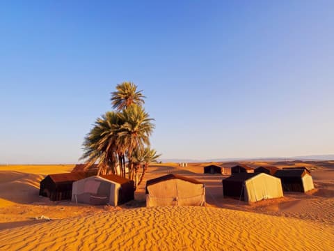 Merzouga Sand and Dunes, Private tour