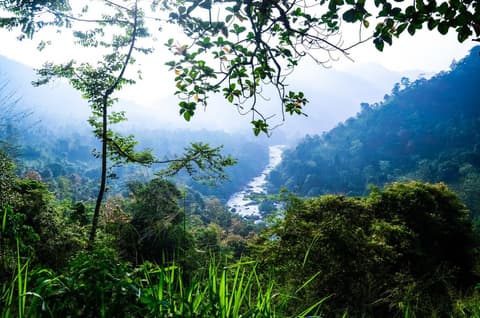 The Vivid Green of Sri Lanka