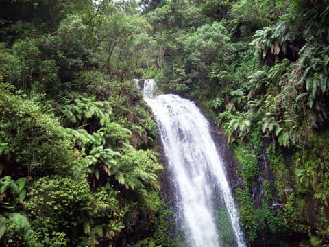 Tour del Norte y Eestancia Mar