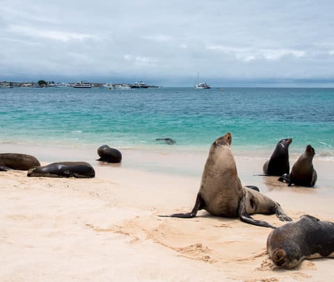 Complete San Cristobal 5 Days