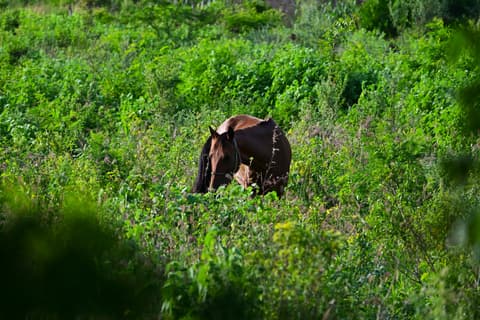 Nature experience in Hidden Paradise