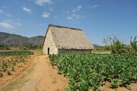 El retrato de una isla