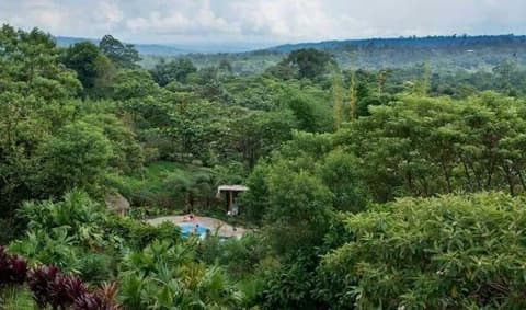 Quito and the Ecuadorian Amazon