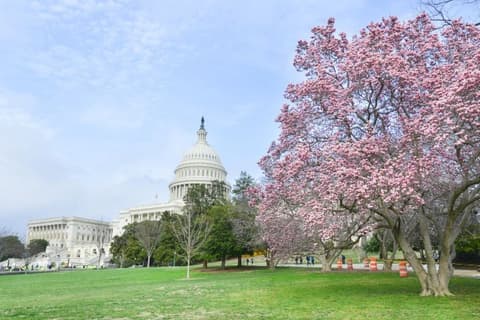 Circuito Mini Washington DC - 2 Días