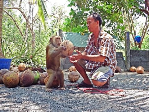 From South to Bangkok: Khao Sok - Chumphon - Kanchanaburi - Ayutthaya