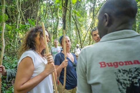 Panorama of Uganda Safari