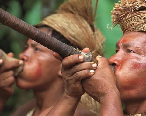 Kurztour "Heliconia Amazon Lodge"