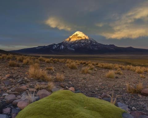 Feriado Semana Santa en Sajama, Paquete 2 días 1 noche