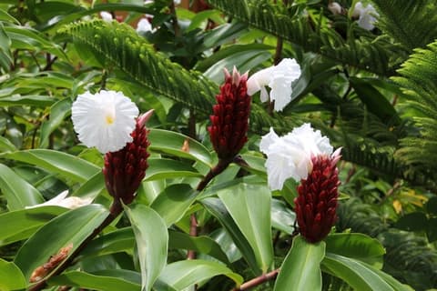 Rundreise "Pazifiktour"