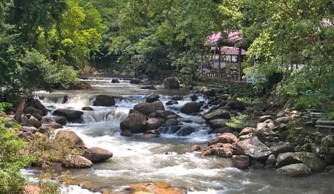 Kurztour "Khao Yai Nationalpark"