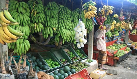 Privatrundreise "Die Klassiker Sri Lankas"