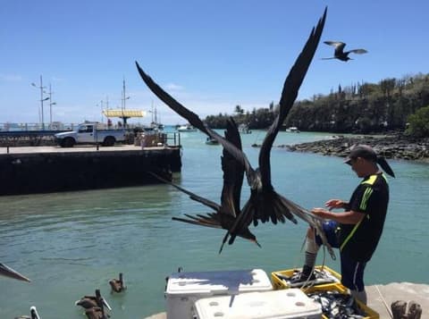 Standortrundreise "Galapagos Island Discovering" (ab/bis Santa Cruz)