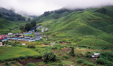 Kurztour "Von Kuala Lumpur nach Penang"