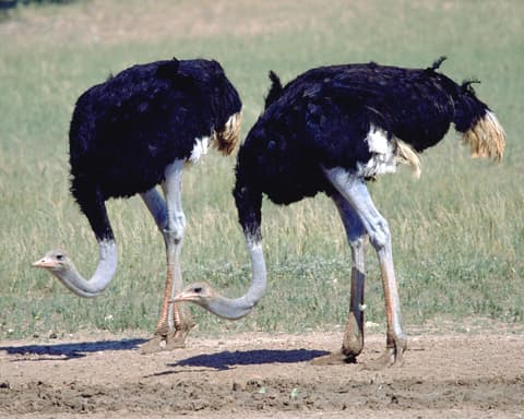 Rundreise "Klassisches Südafrika"