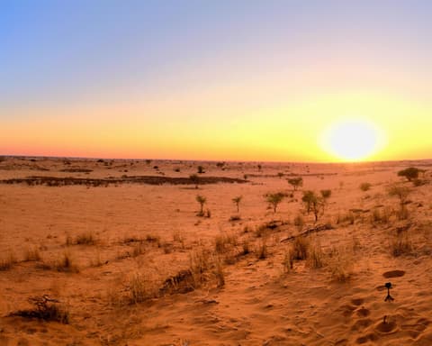 Safari "Höhepunkte Namibia"