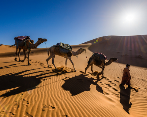 Marrakech Experience, Desert and Ancient Traditions: February 19–23